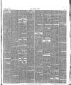 Surrey Comet Saturday 02 June 1894 Page 3