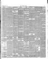 Surrey Comet Saturday 06 October 1894 Page 5