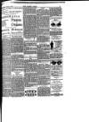 Surrey Comet Wednesday 17 October 1906 Page 9