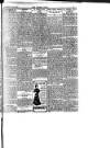 Surrey Comet Wednesday 12 January 1910 Page 5