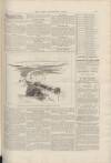 Penny Illustrated Paper Saturday 31 August 1889 Page 11