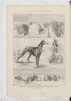 Penny Illustrated Paper Saturday 28 February 1891 Page 12