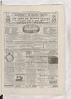 Penny Illustrated Paper Saturday 28 February 1891 Page 15