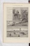 Penny Illustrated Paper Saturday 14 January 1893 Page 12