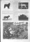 Penny Illustrated Paper Saturday 18 February 1905 Page 5