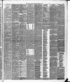 Dundee People's Journal Saturday 22 March 1879 Page 5