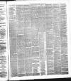 Dundee People's Journal Saturday 10 April 1880 Page 3