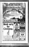 Newcastle Evening Chronicle Wednesday 14 November 1990 Page 33