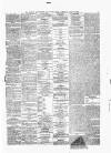Surrey Advertiser Saturday 12 July 1873 Page 5