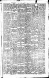 Surrey Advertiser Saturday 01 January 1881 Page 4