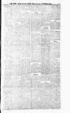 Surrey Advertiser Wednesday 07 November 1894 Page 3