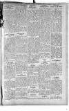 Surrey Advertiser Monday 03 January 1916 Page 3