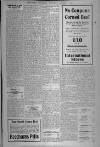 Surrey Advertiser Wednesday 01 January 1919 Page 3