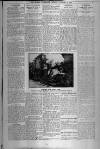 Surrey Advertiser Monday 02 January 1922 Page 3