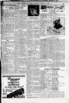 Daily Record Thursday 03 January 1929 Page 19