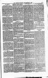 The People Sunday 13 November 1881 Page 11