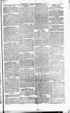 The People Sunday 04 December 1881 Page 3