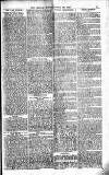 The People Sunday 26 March 1882 Page 3