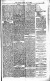 The People Sunday 28 May 1882 Page 5