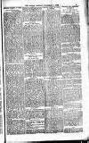 The People Sunday 04 November 1883 Page 3