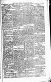 The People Sunday 30 December 1883 Page 13