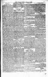 The People Sunday 27 April 1884 Page 7