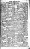 The People Sunday 29 August 1886 Page 3