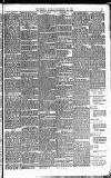 The People Sunday 26 November 1893 Page 5