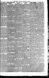 The People Sunday 04 February 1894 Page 5