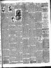 The People Sunday 08 November 1896 Page 11