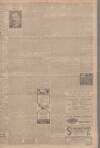 Falkirk Herald Saturday 08 May 1915 Page 9