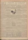 Falkirk Herald Wednesday 26 December 1934 Page 15