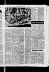 Arbroath Herald Friday 11 January 1985 Page 17