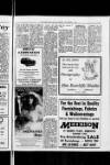 Arbroath Herald Friday 01 November 1985 Page 17