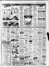 Edinburgh Evening News Wednesday 09 June 1982 Page 13
