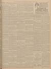 Leeds Mercury Saturday 21 June 1902 Page 13