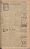Leeds Mercury Saturday 15 November 1919 Page 15