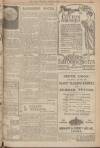 Leeds Mercury Saturday 05 June 1920 Page 11