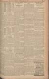 Leeds Mercury Friday 20 April 1923 Page 11