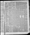 Bedfordshire Times and Independent Saturday 30 June 1877 Page 5