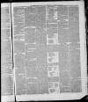 Bedfordshire Times and Independent Saturday 30 June 1877 Page 7