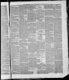 Bedfordshire Times and Independent Saturday 14 July 1877 Page 7