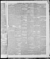 Bedfordshire Times and Independent Saturday 17 November 1877 Page 7