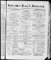 Bedfordshire Times and Independent Saturday 18 May 1878 Page 1