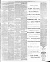 Bedfordshire Times and Independent Saturday 19 March 1887 Page 7