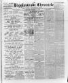 Biggleswade Chronicle Saturday 19 November 1892 Page 1