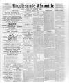 Biggleswade Chronicle Saturday 11 May 1895 Page 1