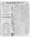 Biggleswade Chronicle Saturday 13 July 1895 Page 1