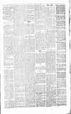 Coventry Times Wednesday 21 January 1880 Page 3