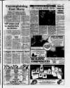 Hertford Mercury and Reformer Friday 21 March 1980 Page 17